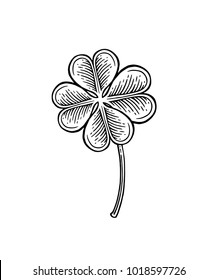 Hand drawn good luck four leaf clover isolated on white background. Vintage black vector engraving illustration for info graphic, poster, web