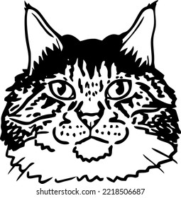 hand drawn goofy cat portrait 