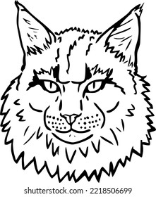 hand drawn goofy cat portrait 