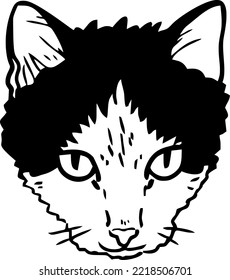 hand drawn goofy cat portrait 