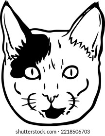 hand drawn goofy cat portrait 