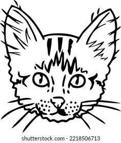 hand drawn goofy cat portrait 