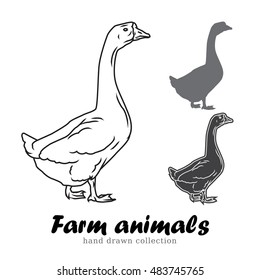 Hand drawn goose silhouette. Farm animals vector illustration. Line art meat logo vintage.