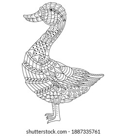Hand drawn of goose in zentangle style