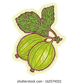 Hand drawn gooseberry cartoon vector.