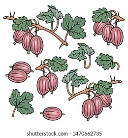 Hand drawn gooseberry. Set of objects. Cartoon vector abstract illustration.