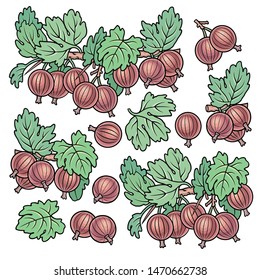 Hand drawn gooseberry. Set of objects. Cartoon vector abstract illustration.