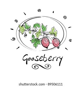 hand drawn gooseberry in vignette