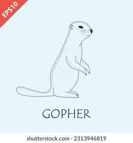 hand drawn gopher animal design vector flat modern isolated illustration