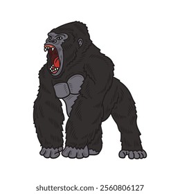 Hand Drawn Gorilla Illustration Colored - 01