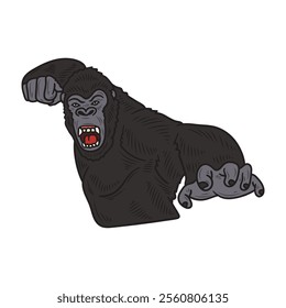 Hand Drawn Gorilla Illustration Colored - 05