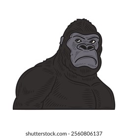 Hand Drawn Gorilla Illustration Colored - 06