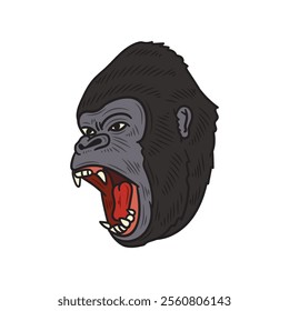 Hand Drawn Gorilla Illustration Colored - 15