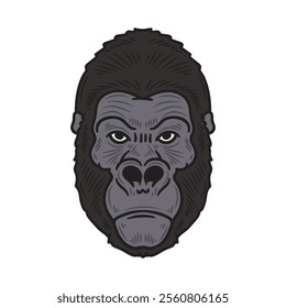 Hand Drawn Gorilla Illustration Colored - 08