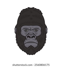 Hand Drawn Gorilla Illustration Colored - 12