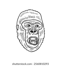 Hand Drawn Gorilla Illustration Colorless - 13