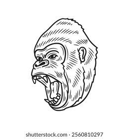 Hand Drawn Gorilla Illustration Colorless - 15