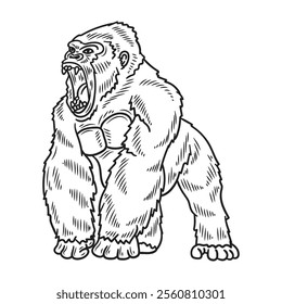 Hand Drawn Gorilla Illustration Colorless - 01