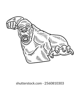 Hand Drawn Gorilla Illustration Colorless - 05