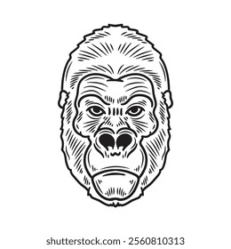 Hand Drawn Gorilla Illustration Colorless - 08