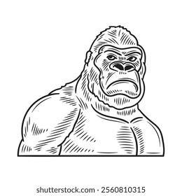 Hand Drawn Gorilla Illustration Colorless - 06