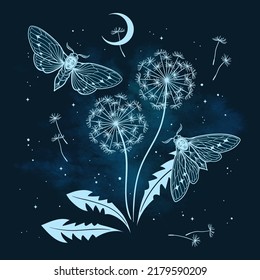 Hand drawn gothic night scene with moths and dandelions silhouettes in graphic style vector illustration