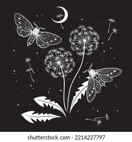 Hand drawn gothic night scene with moths and dandelions silhouettes in graphic style vector illustration