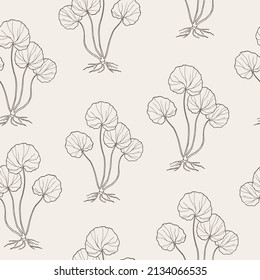 Hand drawn gotu kola. Centella asiatica seamless pattern