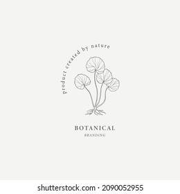 Hand drawn gotu kola logo. Centella asiatica drawing