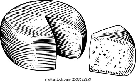 Hand drawn Gouda Cheese Sketch Illustration