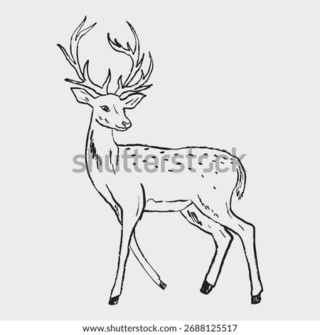 Hand drawn graceful deer standing with its head turned to the side. Vector sketch illustration in vintage crayon textured style. Wild forest animal design, winter, Christmas symbol