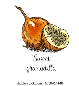 Hand drawn granadilla
