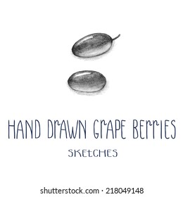Hand drawn grape berries