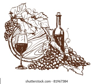 Hand drawn grape   bottle wine  Vector