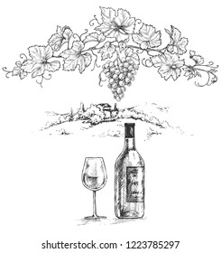 Hand drawn grape branch, wine bottle and glass on rural scene background. Monochrome vector sketch.