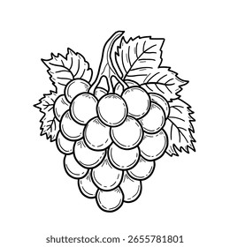 Hand drawn grape bunch with leaves vector illustration. Wine vine close up outline, leaves, berries. Black and white clip art isolated on white background