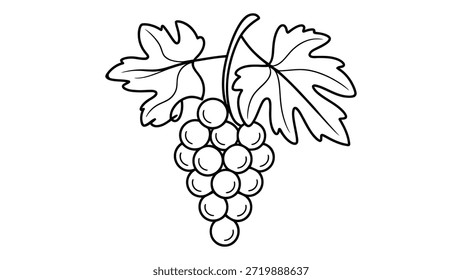 Ilustración de arte de línea de racimo de uva dibujada a mano con hojas aisladas sobre fondo blanco para colorear libro, logotipo, icono y diseño de impresión
