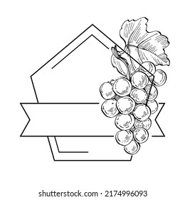 Hand drawn Grape floral logo, frame, border, promo element. Brand emblem template. Minimalistic monogram. Rustic elegant trademark or logotypes background.