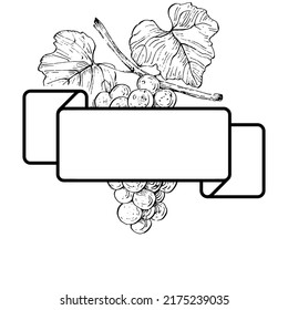 Hand drawn Grape floral logo, frame, border, promo element. Brand emblem template. Minimalistic monogram. Rustic elegant trademark or logotypes background.