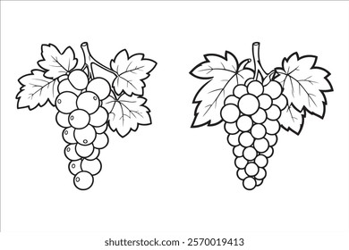 Hand drawn grape fruit set,Line art style illustration