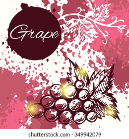 Hand drawn grape illustration.