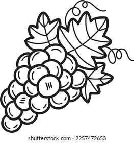 Hand Drawn grape illustration in doodle style isolated on background