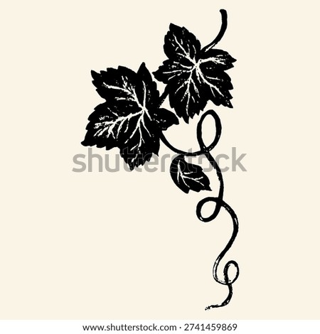 Hand drawn grape leaf vine with curling tendrils in vintage black style. Organic botanical illustration ideal for packaging, wine labels, tattoos, and decorative design projects.