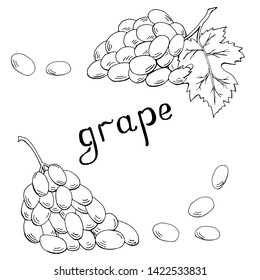 Hand drawn grape monochrome set of elements with leaves and lettering vector illustration