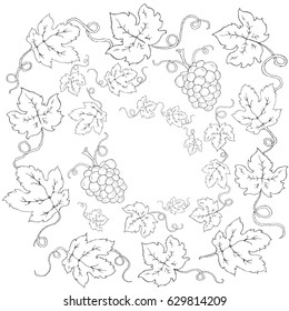hand drawn grape seed and leaf vector form