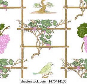 Hand drawn grape and vine with bird sitting on tree seamless pattern. Colorful vintage illustration style