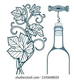 Hand drawn grape vine, corkscrew, cork and wine bottle illustration.