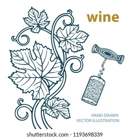 Hand drawn grape vine, corkscrew and cork illustration.