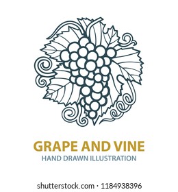 Hand drawn grape vine illustration. Grape bunch hand drawn sketch. 
Grape and vine vintage style vector logo. Wine theme design template.