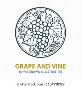 Hand drawn grape vine illustration. Grape bunch hand drawn sketch. 
Grape and vine vintage style vector logo. Wine theme design template.